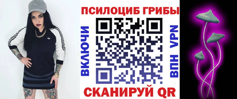 дарк нет формула  Георгиевск  Псилоцибиновые грибы Magic Shrooms  закладки 