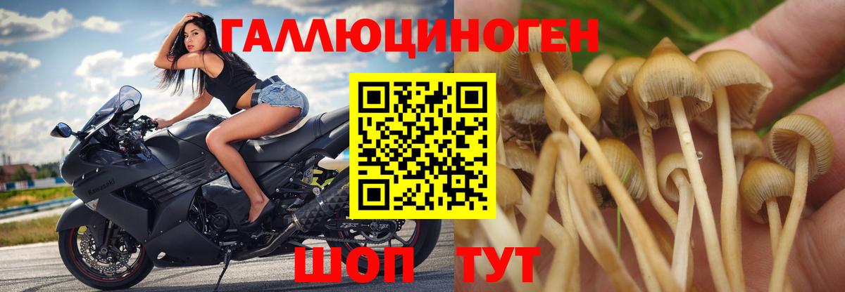 Псилоцибиновые грибы мицелий  закладка  Георгиевск  Вход с VPN 